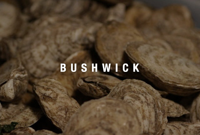 bushwick - oyster happy hours