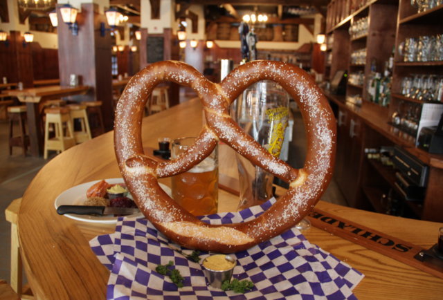 The Giant Pretzel